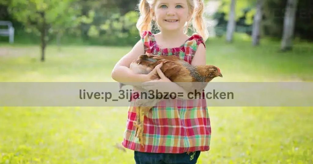 Live:p_3ijan3bzo= Chicken – Everything You Need to Know!