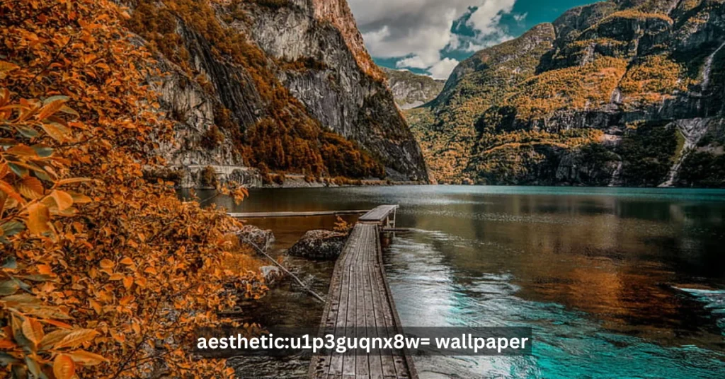 Aesthetic:u1p3guqnx8w= Wallpaper: Upgrade Your Digital Space