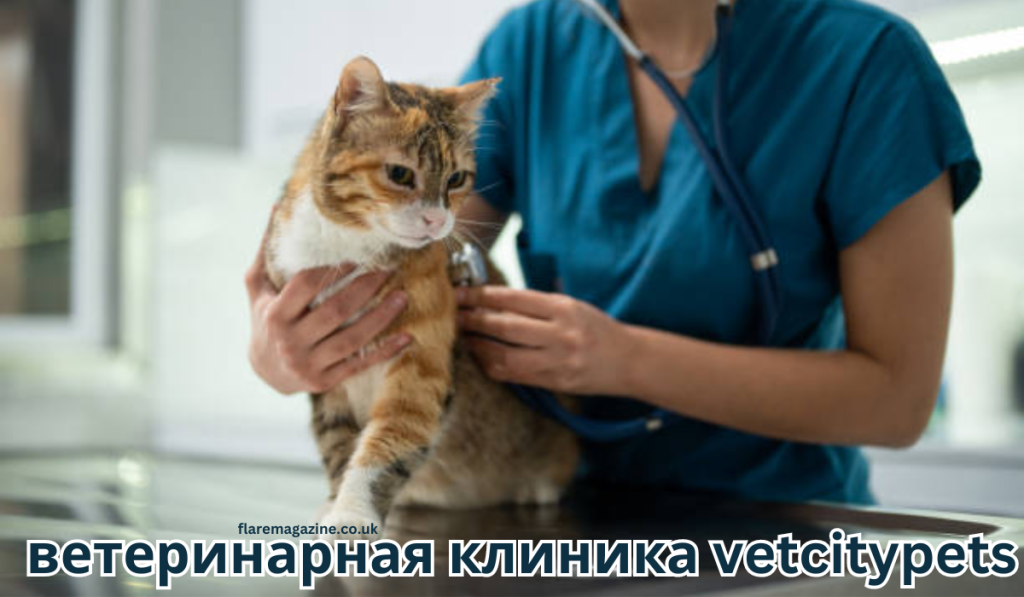ветеринарная клиника vetcitypets Taking Care of Your Pet Health ветеринарная клиника vetcitypets Taking Care of Your Pet Health
